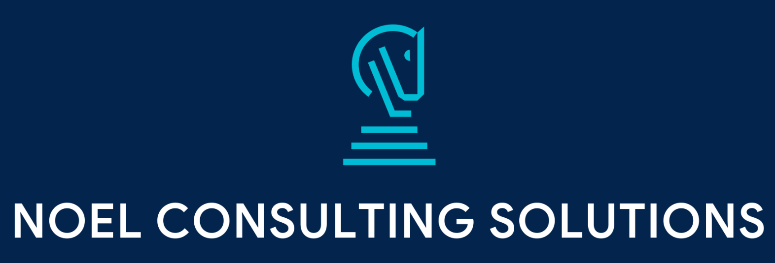 Noel Consulting Solutions